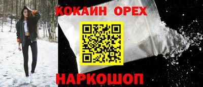 гашик Моздок