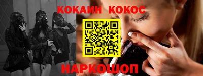 гашик Моздок