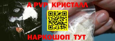 гашик Моздок