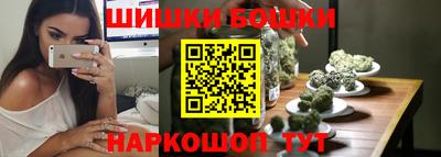 гашик Моздок