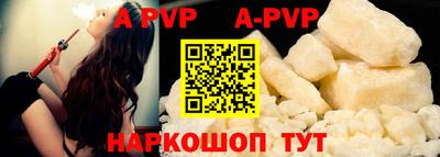 гашик Моздок