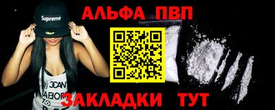 гашик Моздок