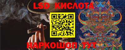 гашик Моздок