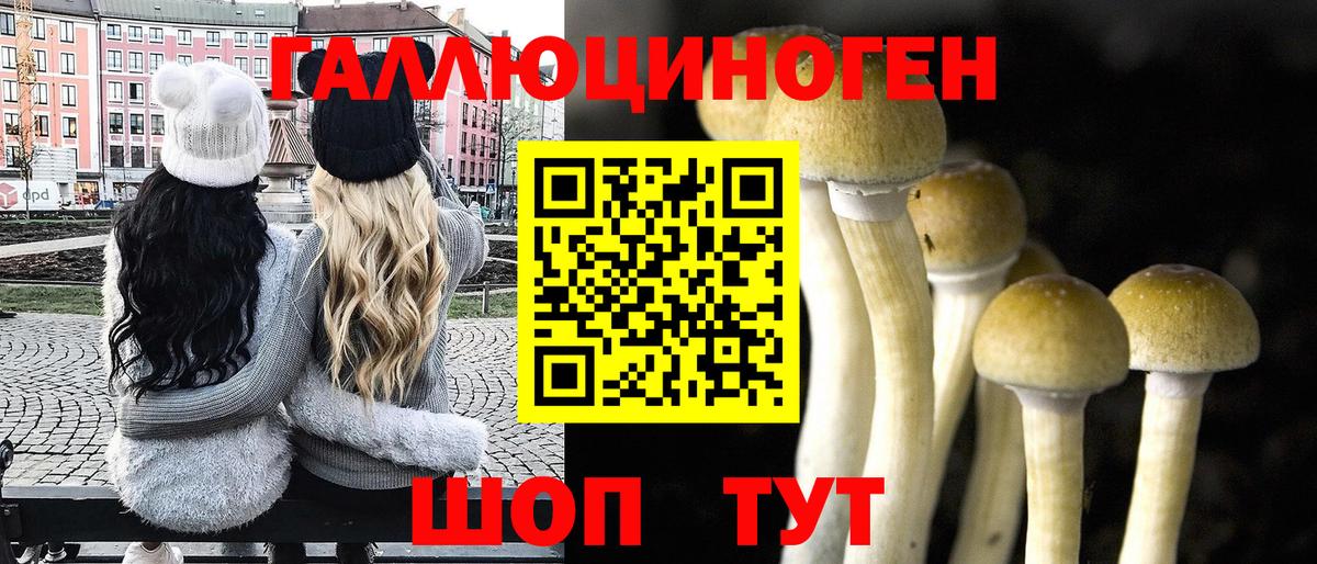 Псилоцибиновые грибы Cubensis  Вход с VPN  Псилоцибиновые грибы Magic Shrooms  Уссурийск 