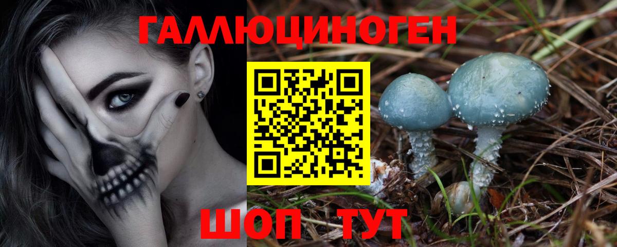 Псилоцибиновые грибы мухоморы Уссурийск